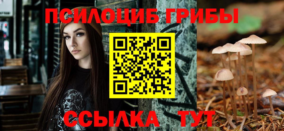 Галлюциногенные грибы мицелий Бийск